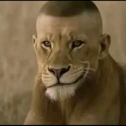 Profile picture of @iroh_zezak